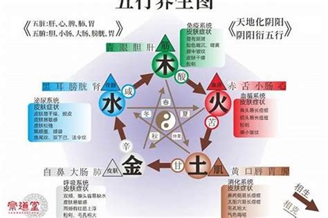 五行木旺缺火|如何解决木旺缺火问题？